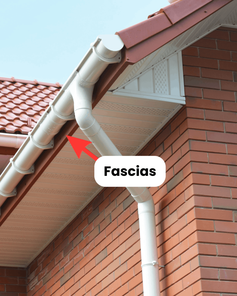 fascias