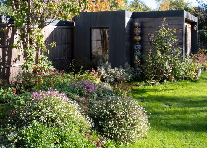 Eco friendly garden studio with black and cedar wood cladding